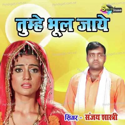 Tumhe Bhul Jaye - Sanjay Shastri album cover 