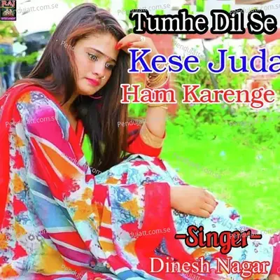 Tumhe Dil Se Kese Juda Ham Karenge - Dinesh Nagar album cover 