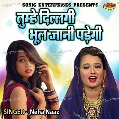 Tumhe Dillagi Bhool Jani Padegi - Neha Naaz album cover 