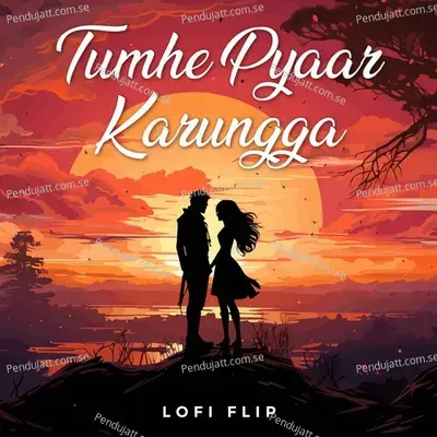 Tumhe Pyaar Karungga - Javed-Mohsin album cover 