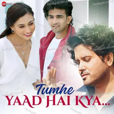 Tumhe Yaad Hai Kya - Javed Ali album cover 