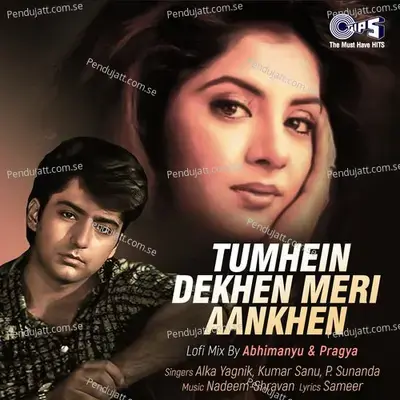 Tumhein Dekhen Meri Aankhen - Alka Yagnik album cover 