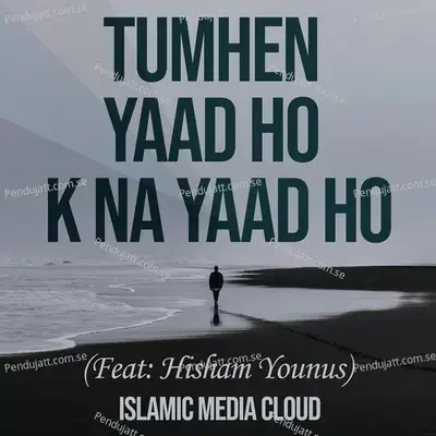 Tumhen Yaad Ho K Na Yaad Ho - Islamic Media Cloud album cover 