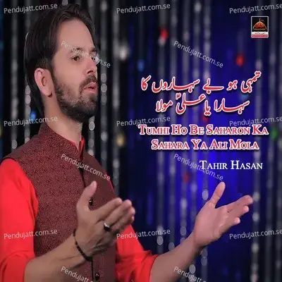 Tumhi Ho Be Saharon Ka Sahara Ya Ali Mola - Tahir Hasan album cover 