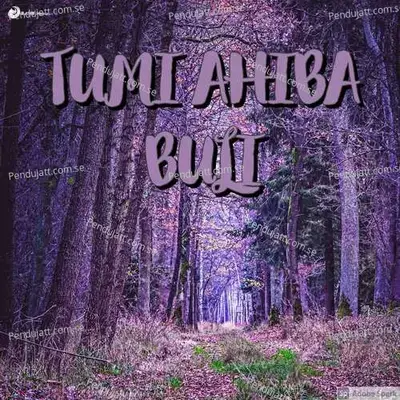 Tumi Ahiba Buli - Baishampayan Bhowmick album cover 