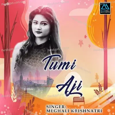 Tumi Aji - Meghali Krishnatri album cover 