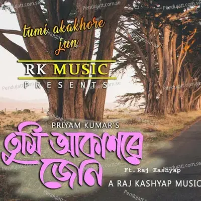 Tumi Akakhore Jun - Priyam Kumar album cover 