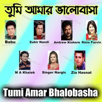 Tomar Chithi Tomar Chhobi - Zia Hasnat album cover 