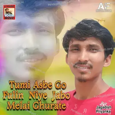 Tumi Asbe Go Fulin Niye Jabo Melai Ghurate - Jagadish album cover 