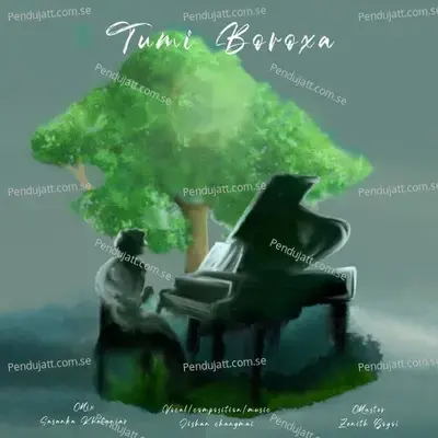 Tumi Boroxa - Jishan Changmai album cover 