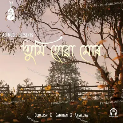 Tumi Huwa Mur - Debasish Sona album cover 