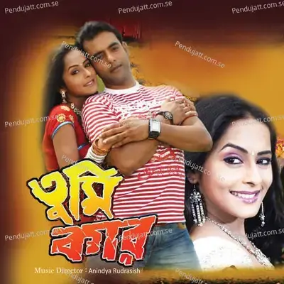 Tomay Dekhar Pore - Alka Yagnik album cover 