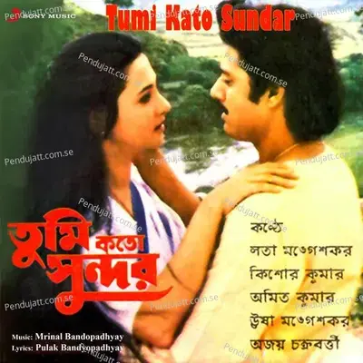 Bhor Holo Bibhabori - Mrinal Bandopadhyay album cover 