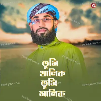 Tumi Khalik Tumi Malik - Saifuddin Amini album cover 