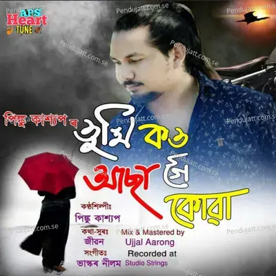 Tumi Kot Asa Goi Kuwa - Pinku Kashyap album cover 