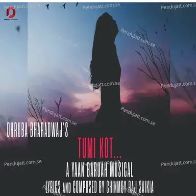 Tumi Kot - Dhruba Bharadwaj album cover 