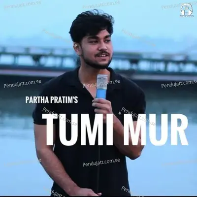 Tumi Mur - Partha Pratim Deka album cover 