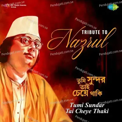 Aar Lukabi Kothay Maa - Pannalal Bhattacharya album cover 