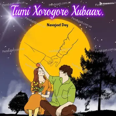 Tumi Xorogore Xubaax - Navajeet Dey album cover 