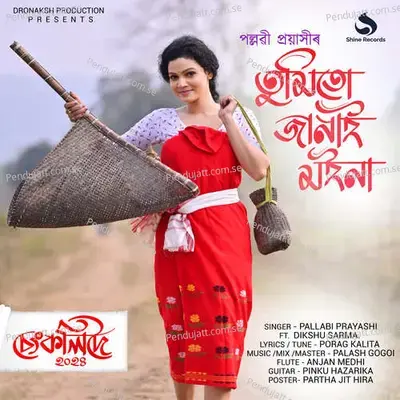 Tumitu Janai Moina - Pallabi Prayashi album cover 