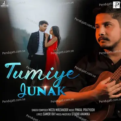 Tumiye Junak - Mizzu Mirzanoor album cover 