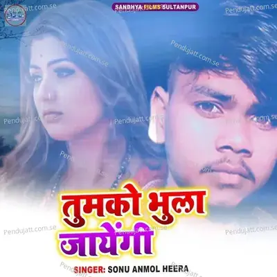 Tumko Bhula Jayengi - Sonu Anmol Heera album cover 