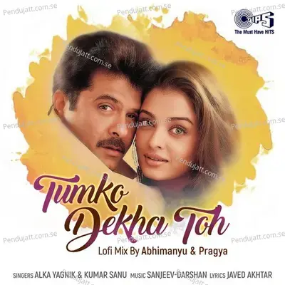 Tumko Dekha Toh  Lofi Mix  - Alka Yagnik