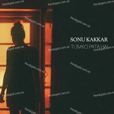 Tumko Pata Hai - Sonu Kakkar album cover 