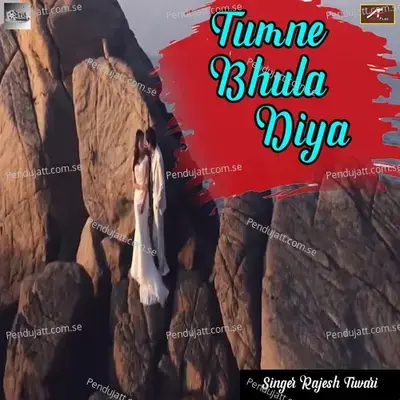 Tumne Bhula Diya - Rajesh Tiwari album cover 