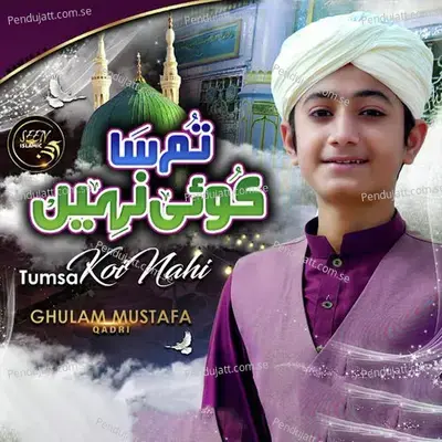 Tumsa Koi Nahi - Ghulam Mustafa Qadri album cover 