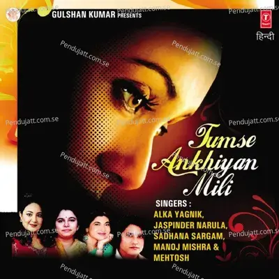 Tum Mere Aakash Ho - Sadhana Sargam album cover 