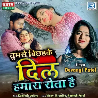 Tumse Bichhadke Dil Humara Rota Hai - Devangi Patel album cover 