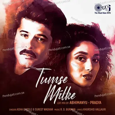 Tumse Milke - Asha Bhosle album cover 