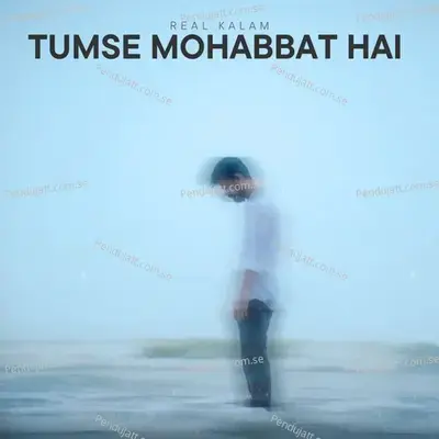 Tumse Mohabbat Hai - REAL KALAM album cover 