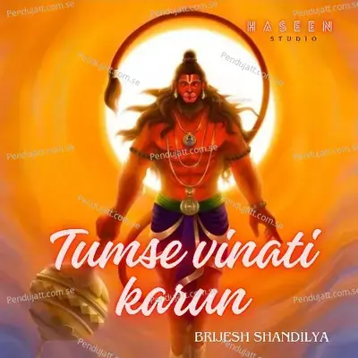 Tumse Vinati Karun - Brijesh Shandilya album cover 