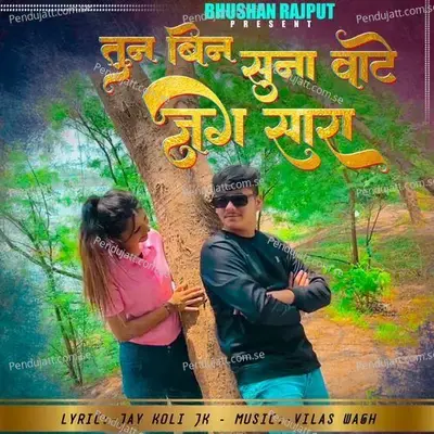 Tuna Bin Suna Vate Jag Sara - Bhaiya More album cover 