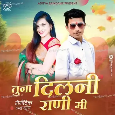 Tuna Dil Ni Rani - Gaytri Rajput album cover 