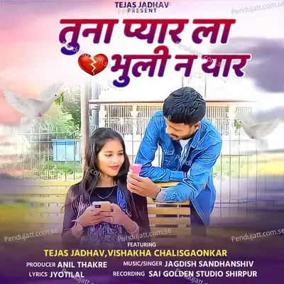 Tuna Pyar La Bhuli N Yar - Jagdish Sandhanshiv album cover 