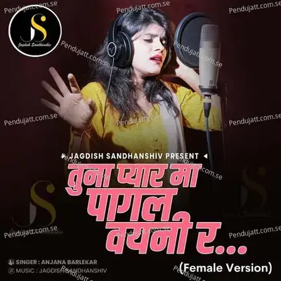 Tuna Pyar Ma Pagal Vayni Ra - Anjana Barlekar album cover 