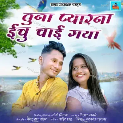 Tuna Pyarna Echu Chai Gaya - Vishal Thakare album cover 