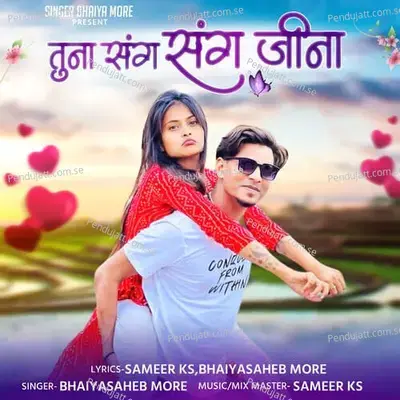 Tuna Sang Sang Jina - Bhaiyasaheb More album cover 