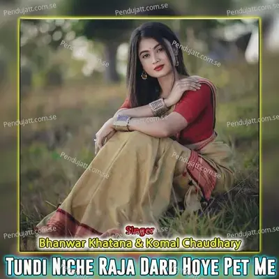Tundi Niche Raja Dard Hoye Pet Me - Bhanwar Khatana cover album