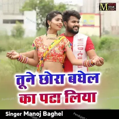 Tune Chhora Baghel Ka Pata Liya - Manoj Baghel album cover 
