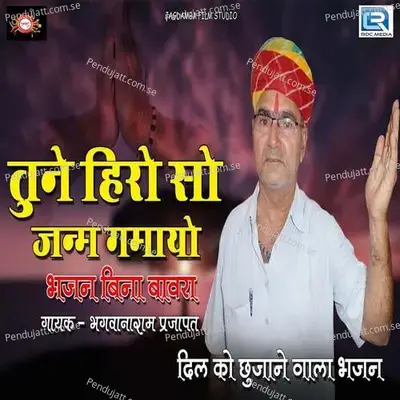Tune Hiro So Janm Gamayo - Bhagwanaram Prajapat album cover 