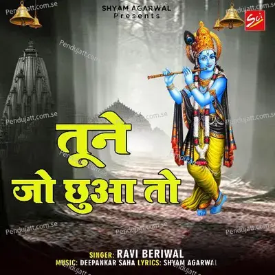 Tune Jo Chuwa Toh - Ravi Beriwal album cover 