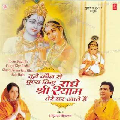 Bhajan Din Raat Karoon - Anuradha Paudwal album cover 