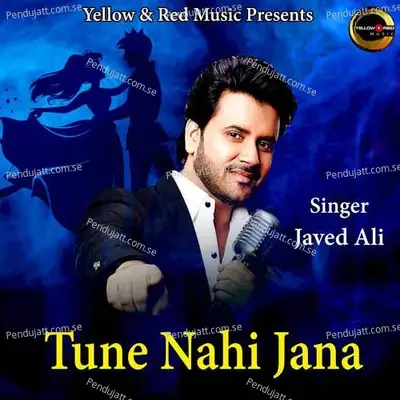 Tune Nahi Jana - Javed Ali album cover 