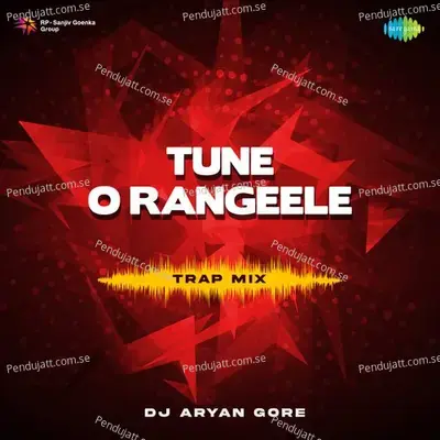 Tune O Rangeele - Trap Mix - DJ Aryan Gore album cover 