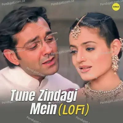 Tune Zindagi Mein - Lo-Fi - Udit Narayan