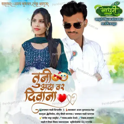 Tuni Adavar Diwana - Prashant Desale album cover 